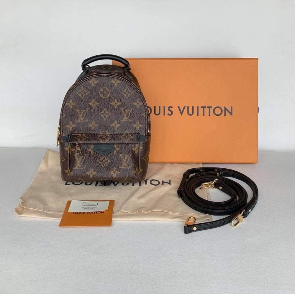 Louis Vuitton Mini Palm Springs
